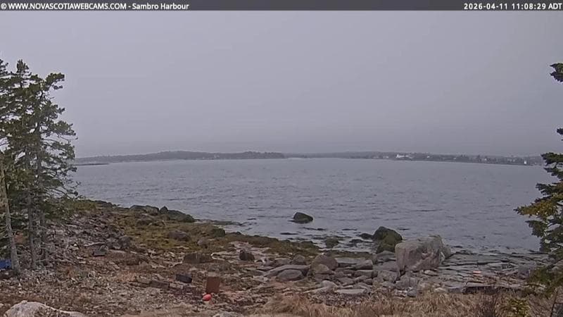 Sambro Harbour