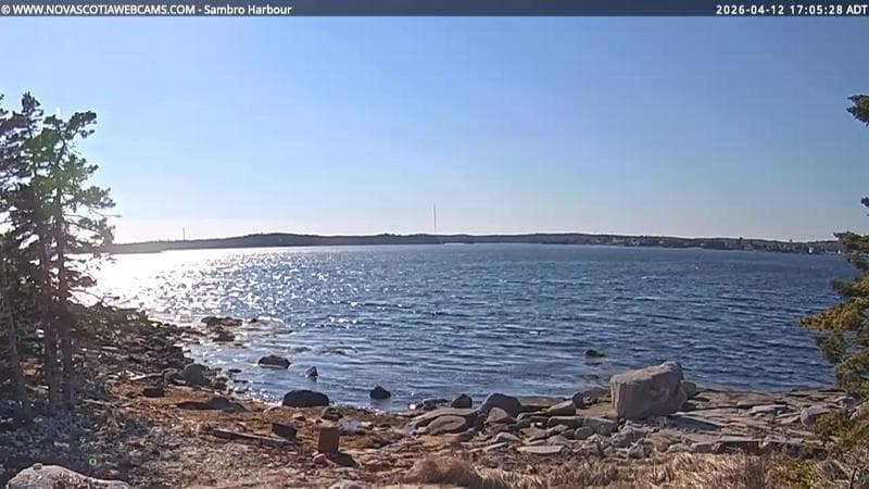 Sambro Harbour
