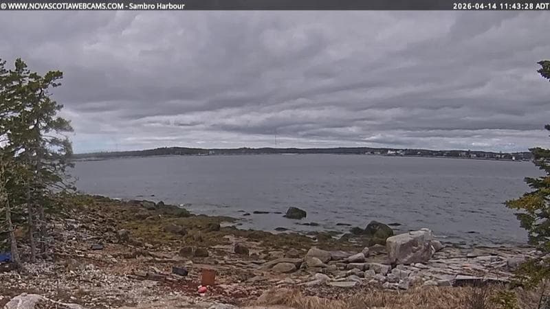 Sambro Harbour