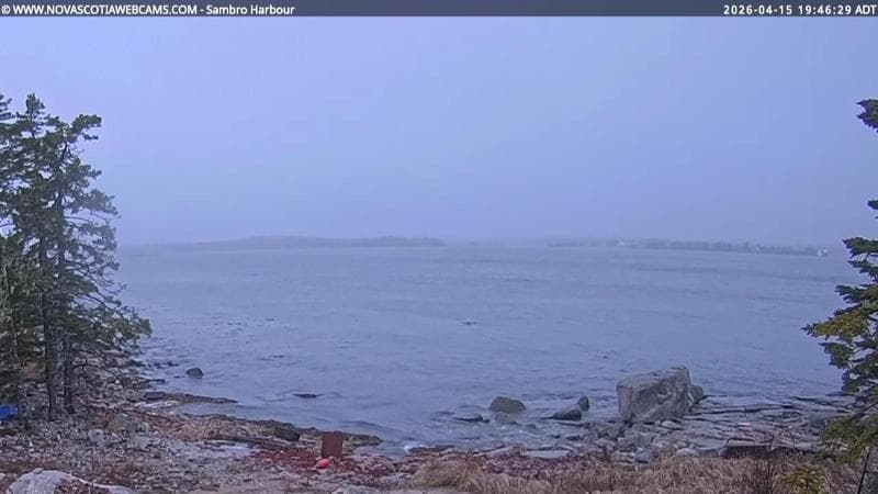 Sambro Harbour