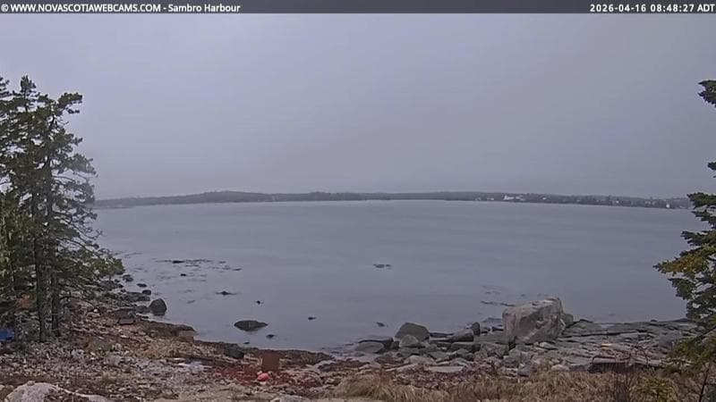 Sambro Harbour