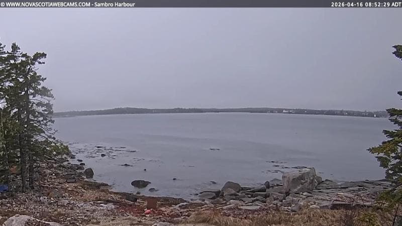 Sambro Harbour