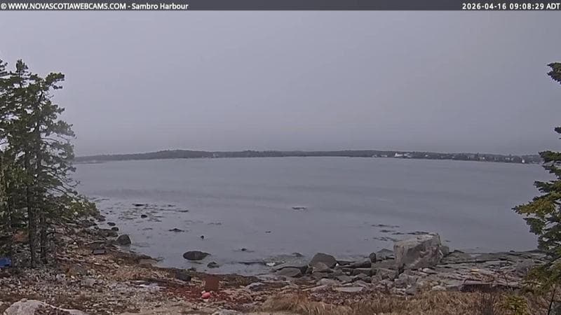 Sambro Harbour