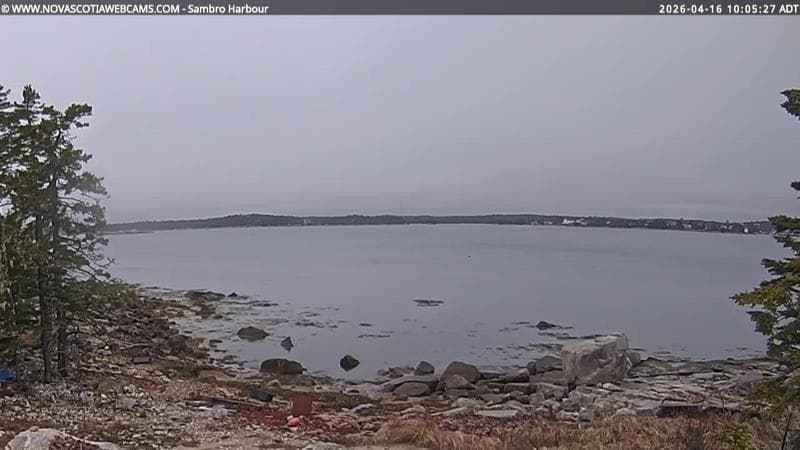 Sambro Harbour