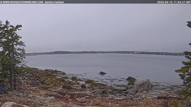 Sambro Harbour