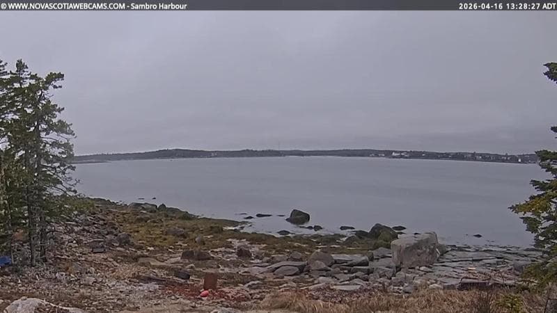 Sambro Harbour