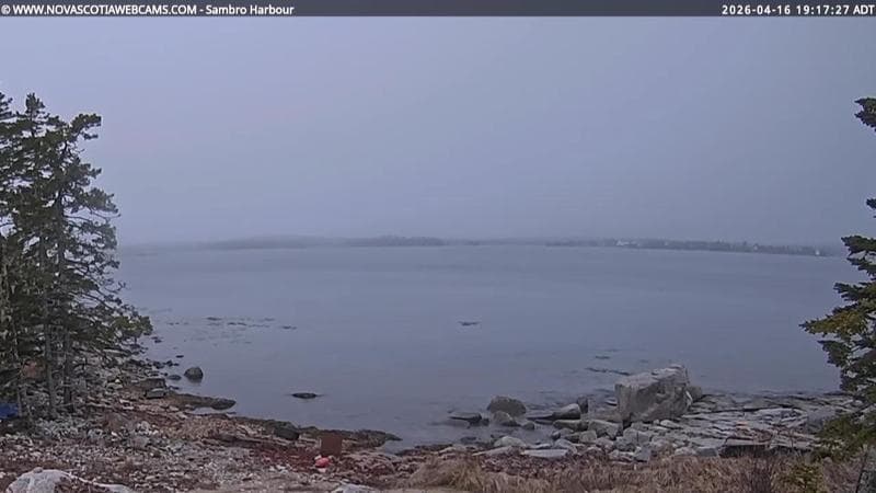 Sambro Harbour