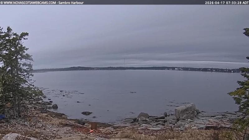 Sambro Harbour