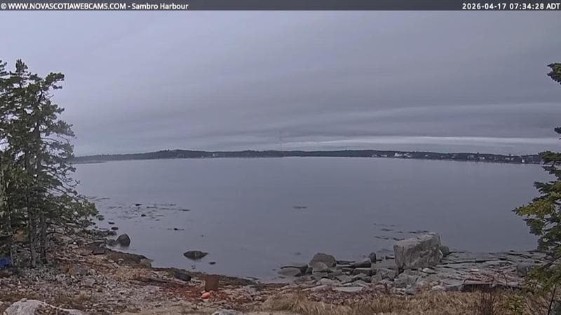 Sambro Harbour