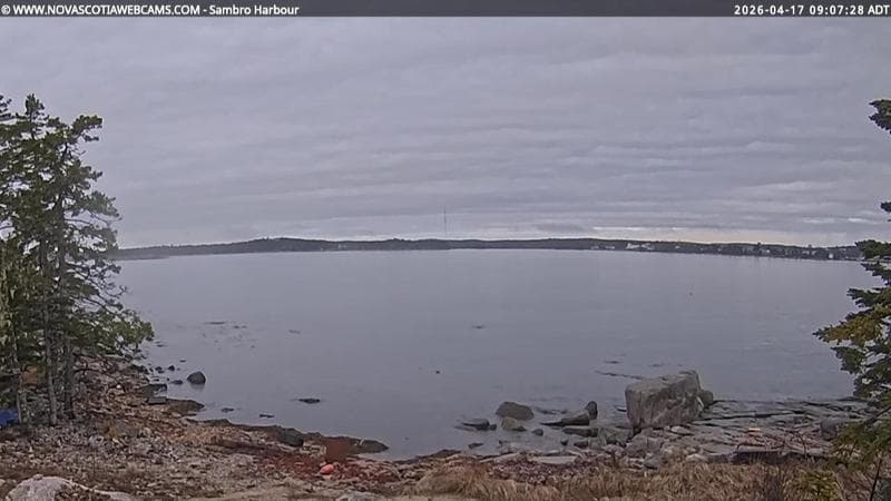 Sambro Harbour