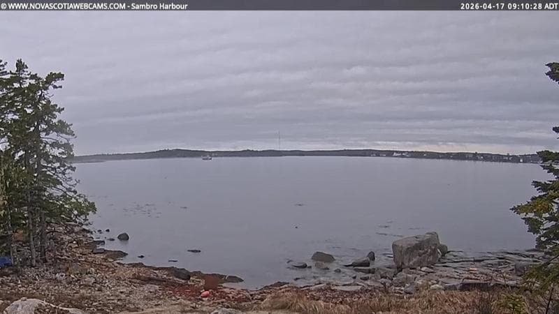 Sambro Harbour