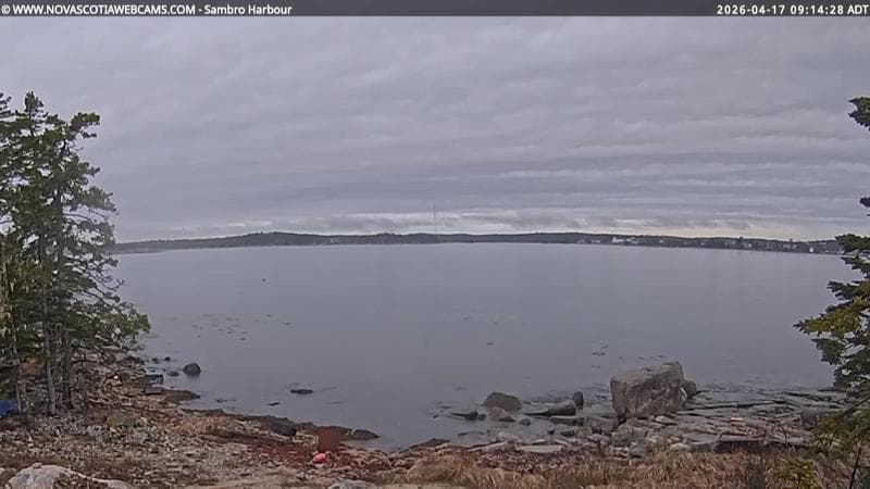 Sambro Harbour
