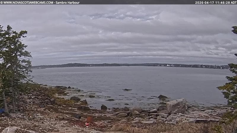 Sambro Harbour