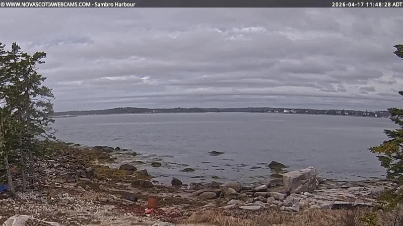 Sambro Harbour