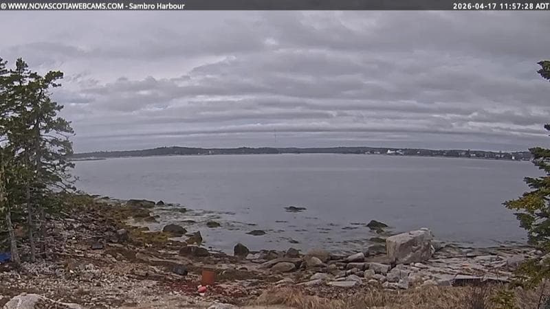 Sambro Harbour
