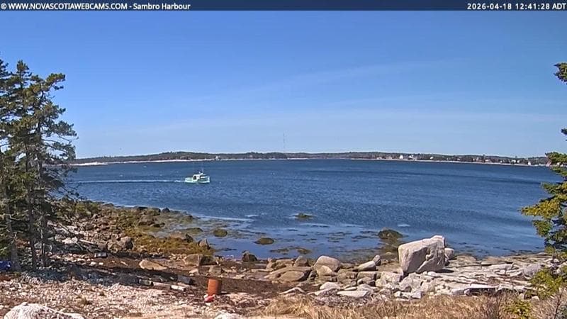 Sambro Harbour