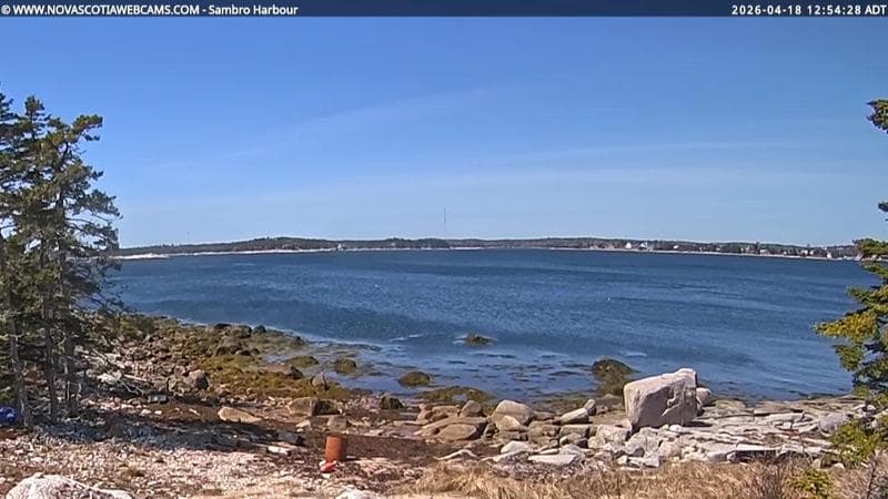 Sambro Harbour
