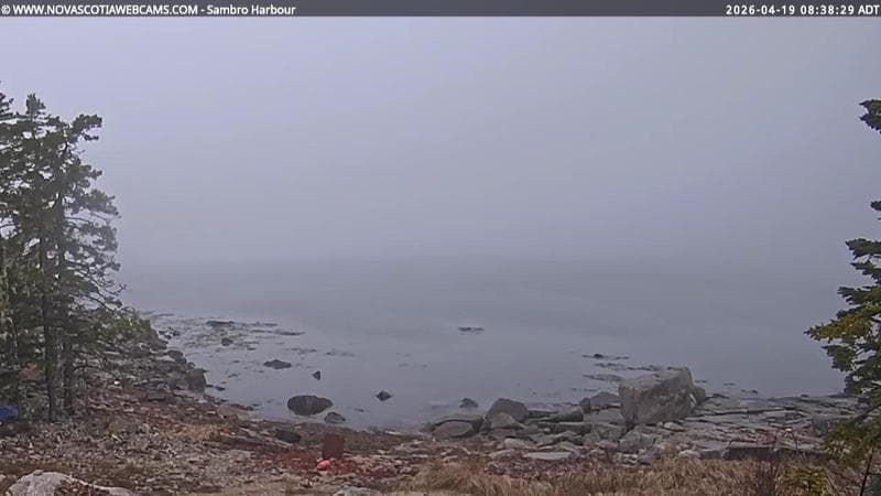 Sambro Harbour