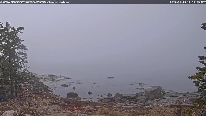 Sambro Harbour
