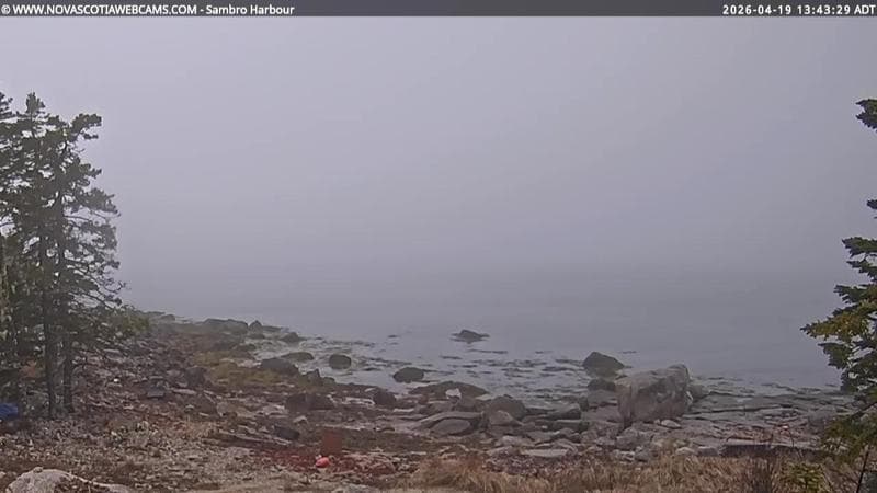 Sambro Harbour