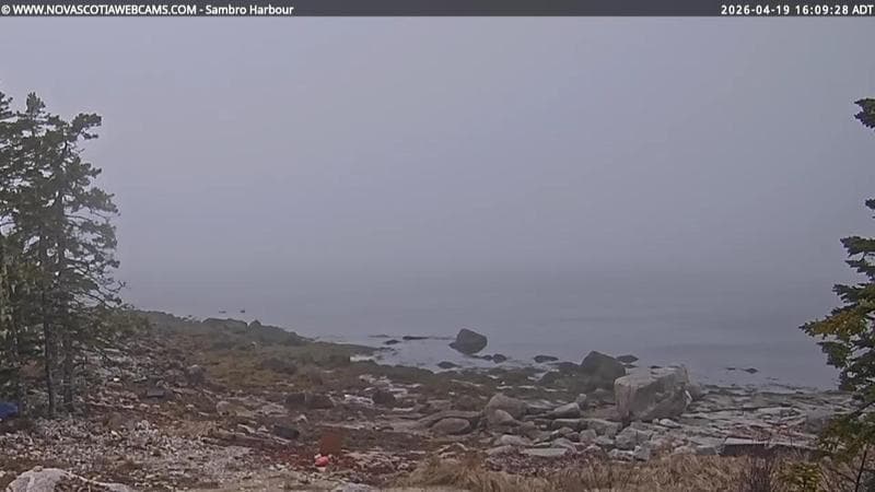 Sambro Harbour