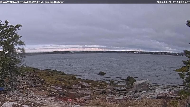 Sambro Harbour