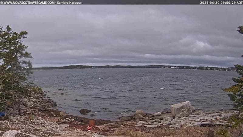 Sambro Harbour