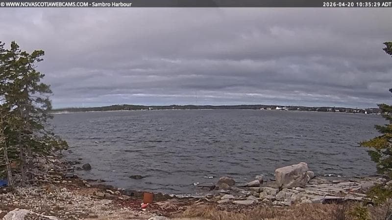 Sambro Harbour