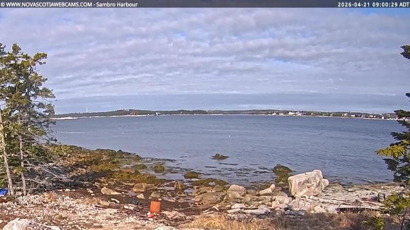 Sambro Harbour