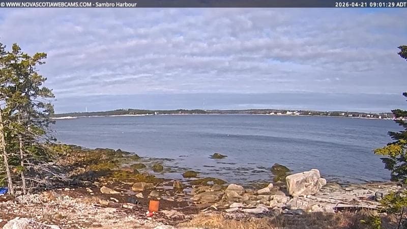 Sambro Harbour