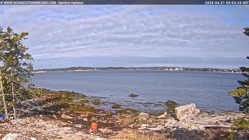 Sambro Harbour
