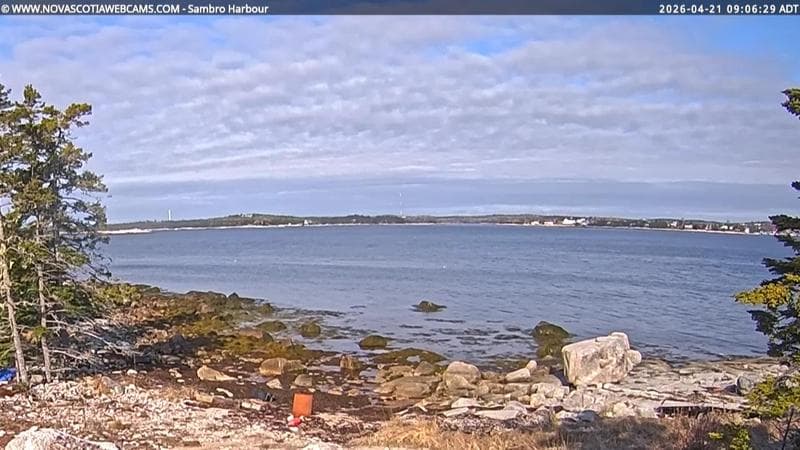 Sambro Harbour