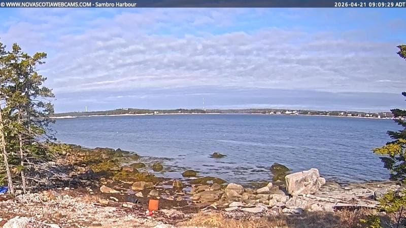 Sambro Harbour