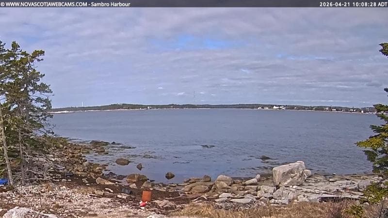 Sambro Harbour