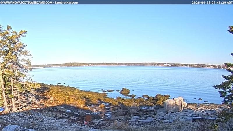 Sambro Harbour