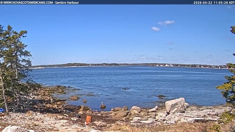 Sambro Harbour