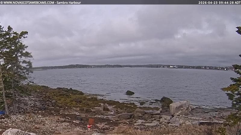 Sambro Harbour