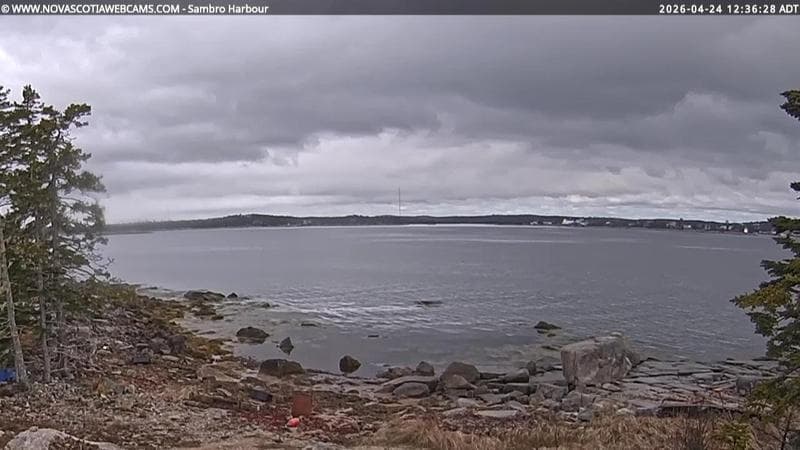 Sambro Harbour