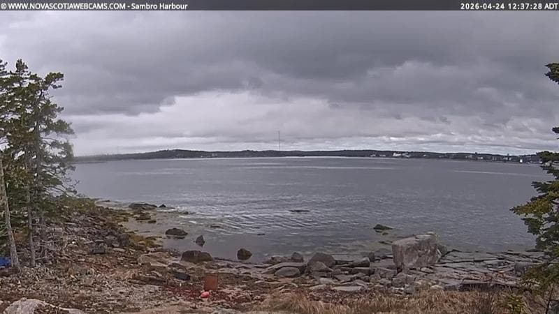 Sambro Harbour