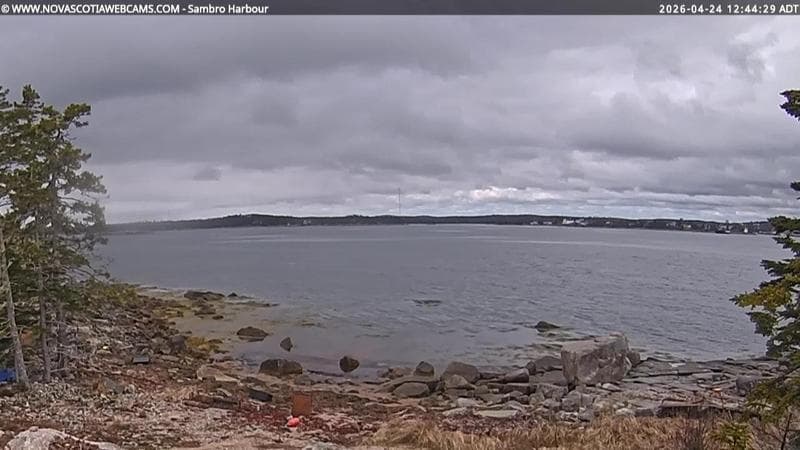 Sambro Harbour