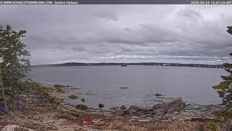 Sambro Harbour