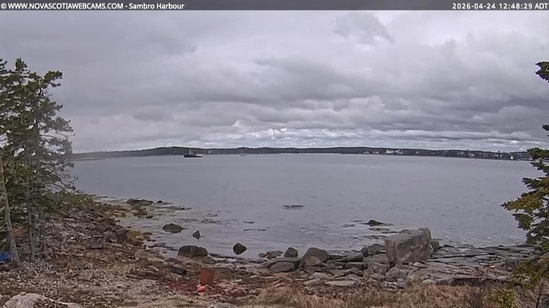 Sambro Harbour