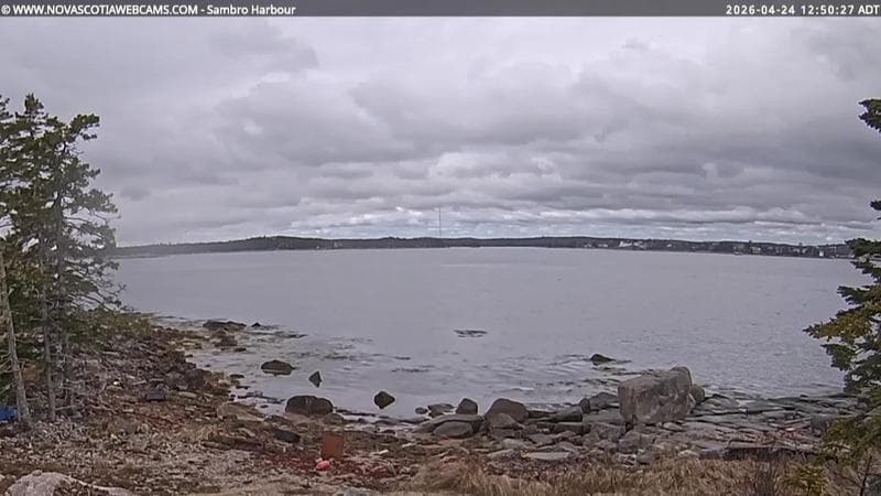 Sambro Harbour