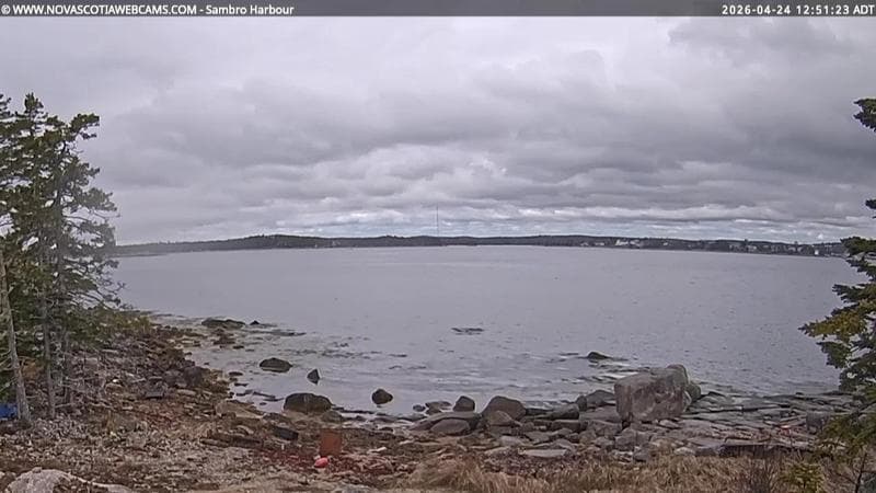 Sambro Harbour