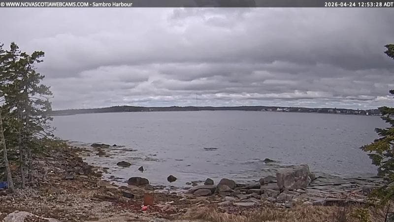 Sambro Harbour