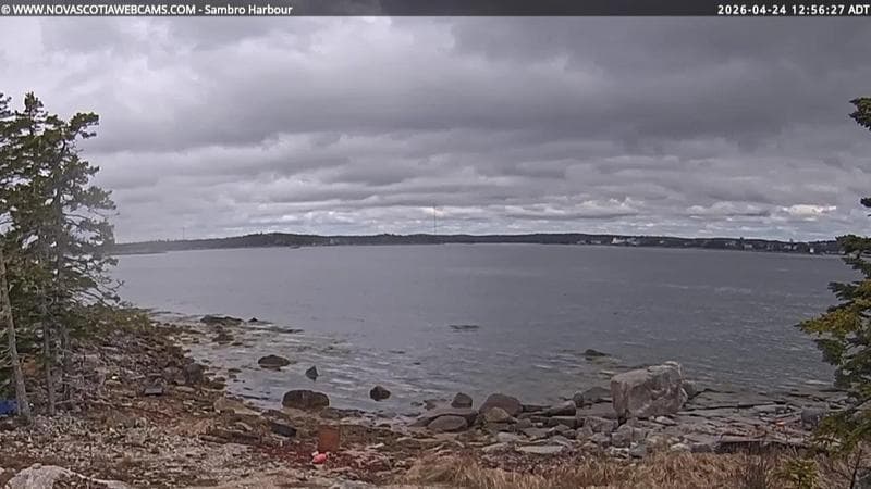 Sambro Harbour