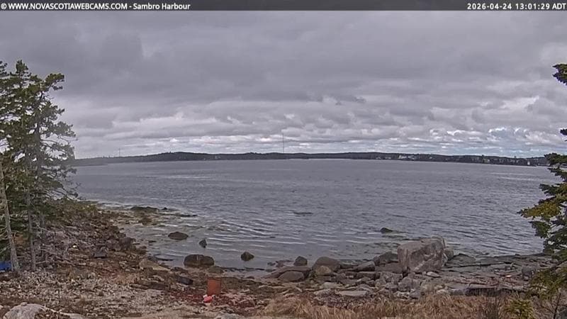 Sambro Harbour