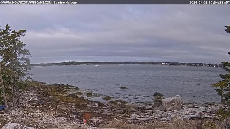 Sambro Harbour