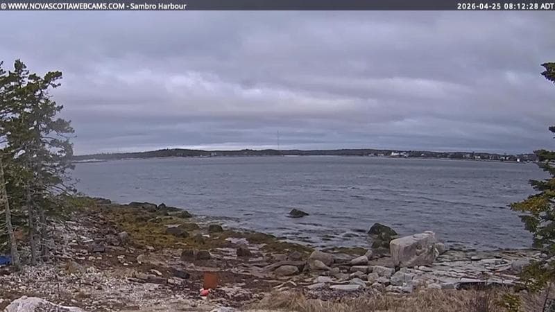 Sambro Harbour