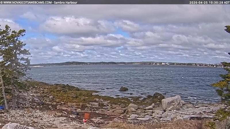 Sambro Harbour